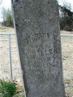 Barbara Ann Chism Allen