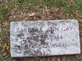 Barbara Ann Gay