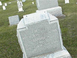 Barbara Ann Maple Neff
