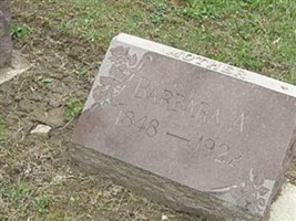 Barbara Ann Shaffer Shanely