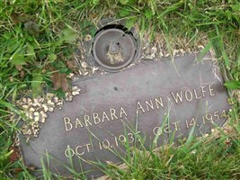Barbara Ann Shasteen Wolfe Barbara Ann Shasteen Wolfe