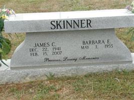 Barbara E Skinner