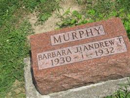 Barbara Jane Murphy