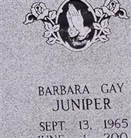 Barbara Juniper