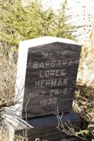 Barbara Loree Herman Barbara Loree Herman
