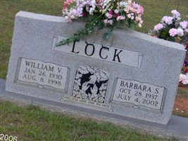 Barbara Sue Nelson Lock