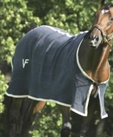 Barbaro Thoroughbred "Bobby" racehorse