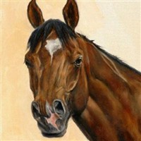 Barbaro Thoroughbred "Bobby" racehorse
