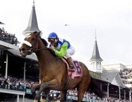 Barbaro Thoroughbred "Bobby" racehorse
