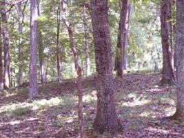 Barnett African American Cemetery