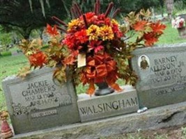 Barney Allison Walsingham, Jr