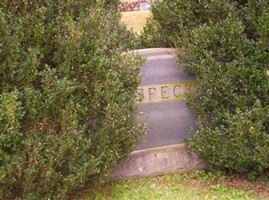 Barnhardt Rader Speck