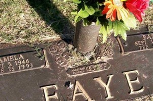 Basil Faye Basil Faye