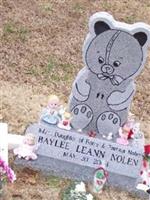 Baylee Leann Nolen