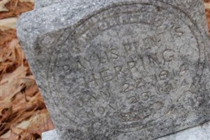 Baylis Prentis Herring