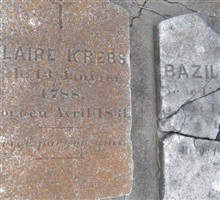 Bazil Krebs