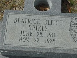 Beatrice Blitch Spikes