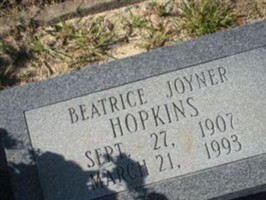 Beatrice Joyner Hopkins