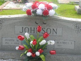 Beatrice Stell Johnson