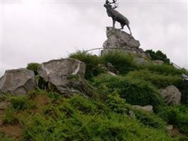 Beaumont-Hamel Memorial Park