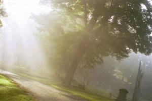 Beech Grove Cemetery