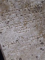 Bella Austrian Bella Austrian