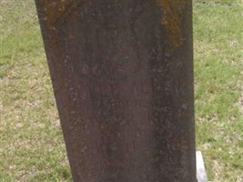 Belle Allen Belle Allen