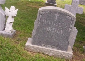 Benedetta Colella Benedetta Colella