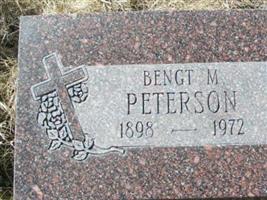 Bengt M Peterson