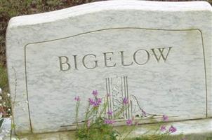 Benjamin Bigelow