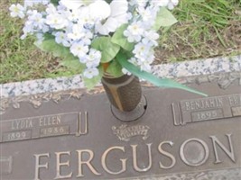 Benjamin Franklin Ferguson Benjamin Franklin Ferguson