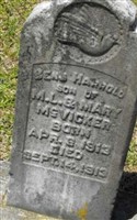 Benjamin Harrold McVicker Benjamin Harrold McVicker