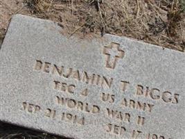 Benjamin T Biggs