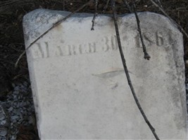 Benjamin Whitfield, Jr