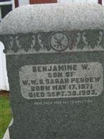 Benjamine W Perdew