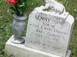 Benny Dane Andrews