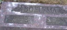 Bernard (Ben) Boelema Bernard (Ben) Boelema