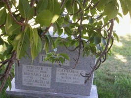 Bernard J Doyle
