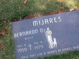 Bernardo Ortega Mijares