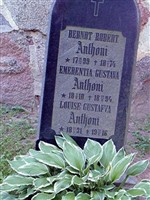 Berndt Robert Anthoni Berndt Robert Anthoni