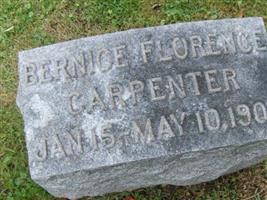 Bernice Florence Carpenter