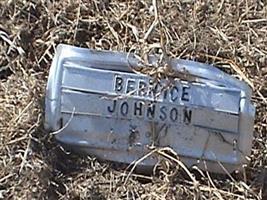 Bernice Johnson