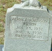 Bernice Robinson Wilson