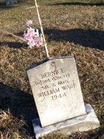 Bernice Warf