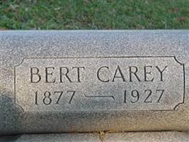 Bert Carey