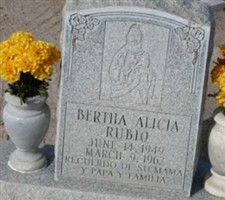 Bertha Alicia Rubio Bertha Alicia Rubio