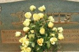 Bertha Allen Mullis