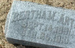 Bertha Arter