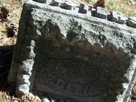 Bertha Cushman Bertha Cushman