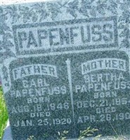 Anna Bertha Elenora Schroeder Pappenfuss